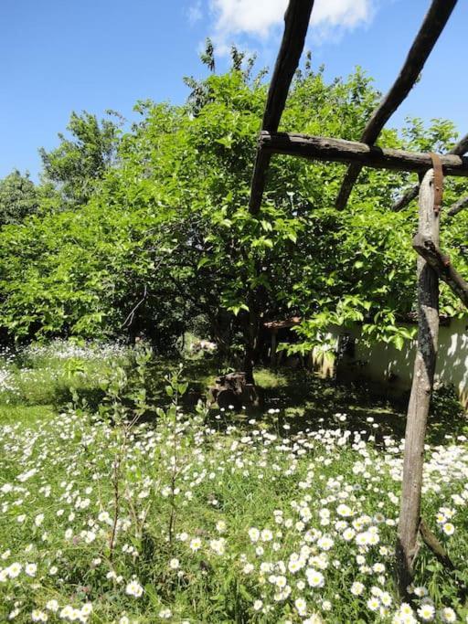 A Lovely House In Vipava Valley Luaran gambar
