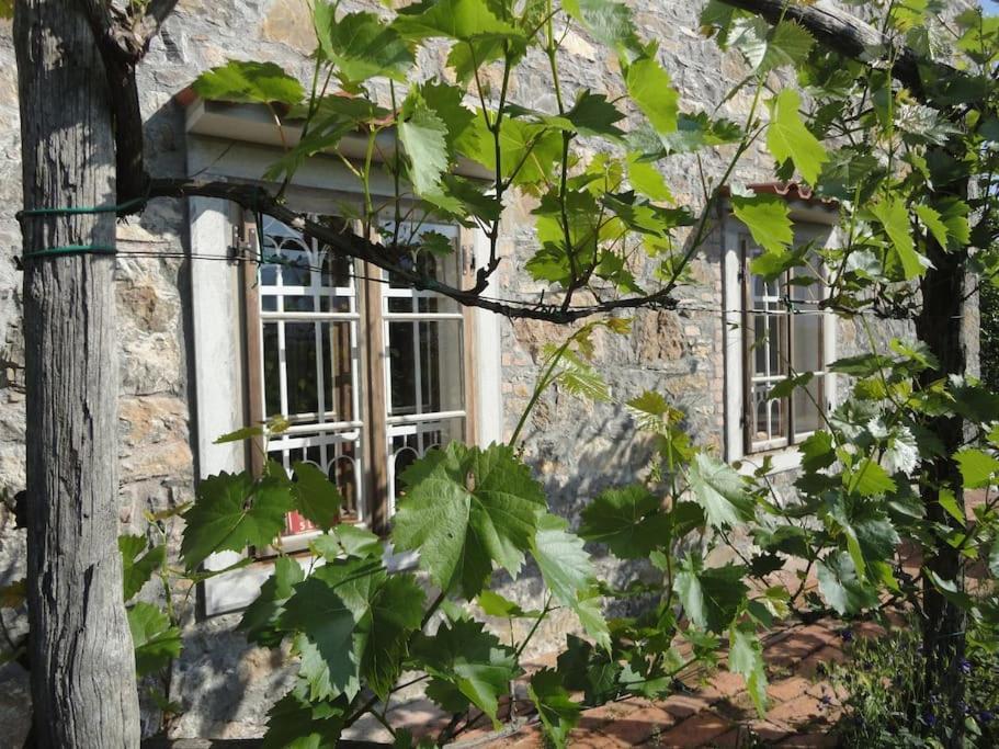 A Lovely House In Vipava Valley Luaran gambar